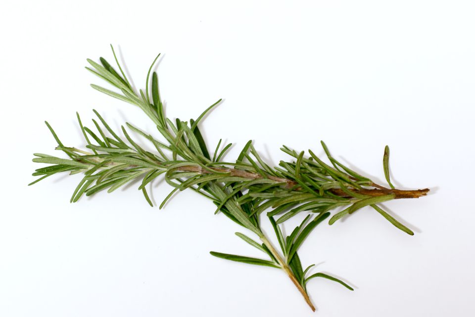 Rosemary